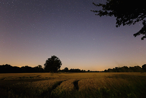 Moonlight Over Ditchingham