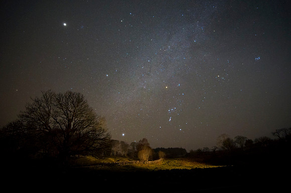 WINTER SKIES ORION