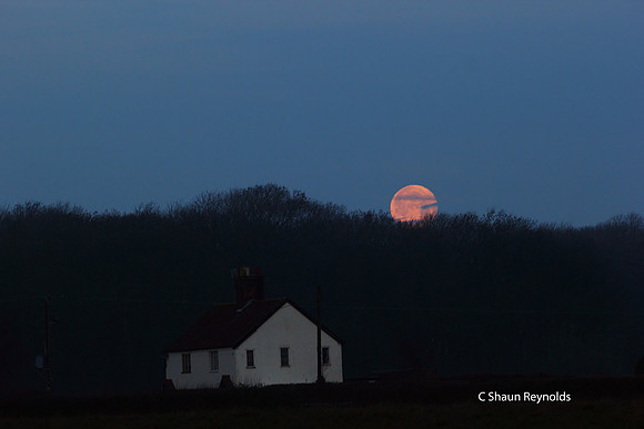Setting Moon