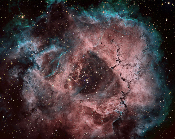 Rosette