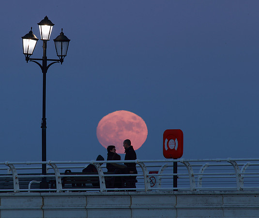 Under the Moon