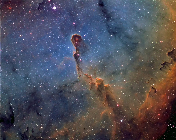 IC 1396 ELEPHANTS TRUNK NEBULA
