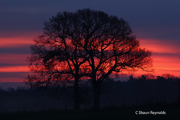Sunrise Silhuette