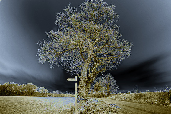 Ditchingham