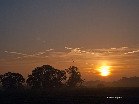 Autumn Dawn