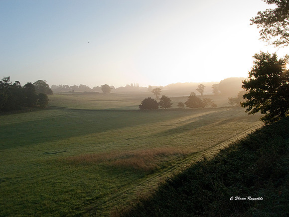 Autumn Dawn