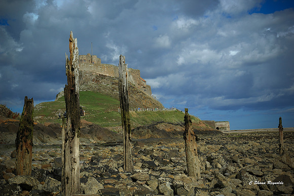 Lindesfarne