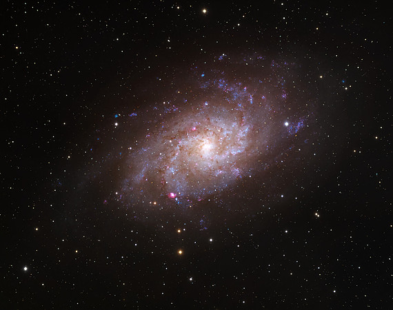 M33
