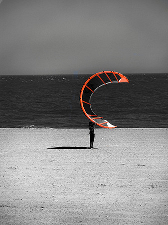Beach Kite