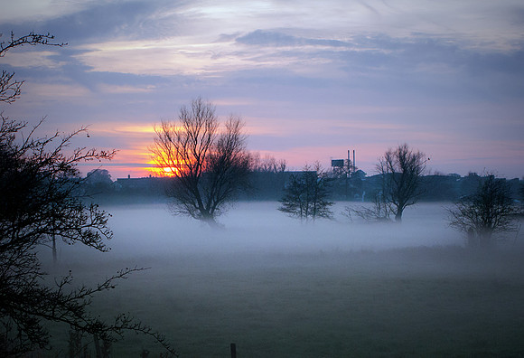 THROUGH THE MIST