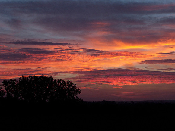 Dawn 2