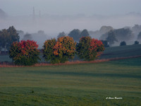 Autumn Dawn