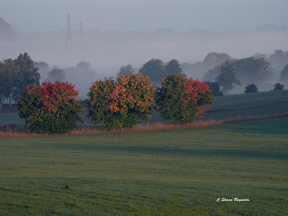 Autumn Dawn