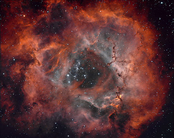 Rosette