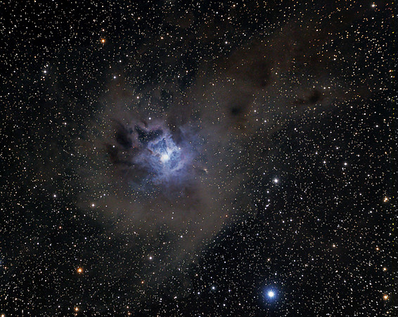 NGC 7023  IRIS NEBULA